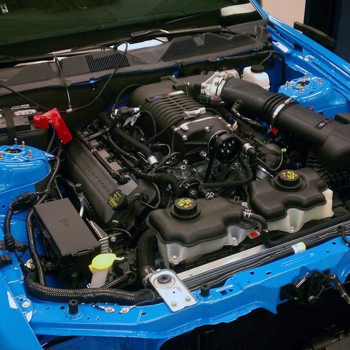 The Petty Mustang
