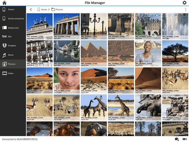 Blackberry Blend screenshot 1