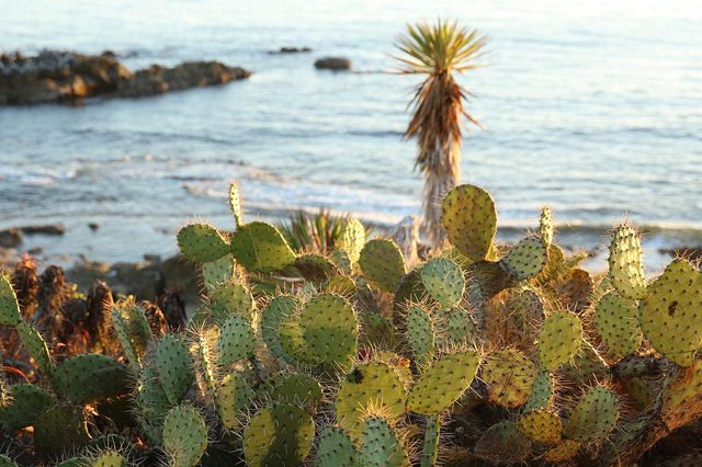 Canon-EOS-7D-Mark-II-sample-press-image-5