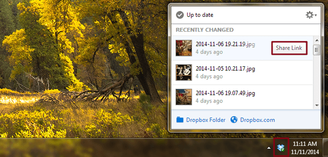 Dropbox Share Link