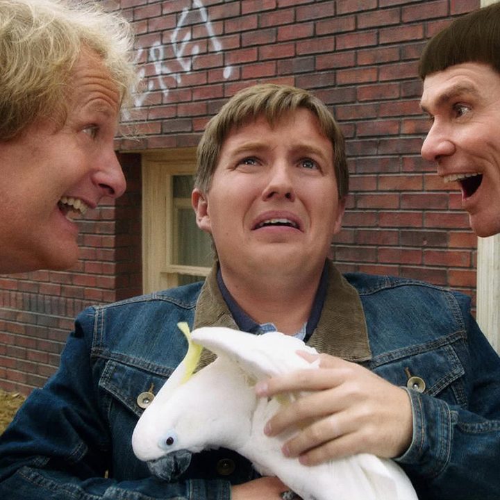 Dumb and Dumber To