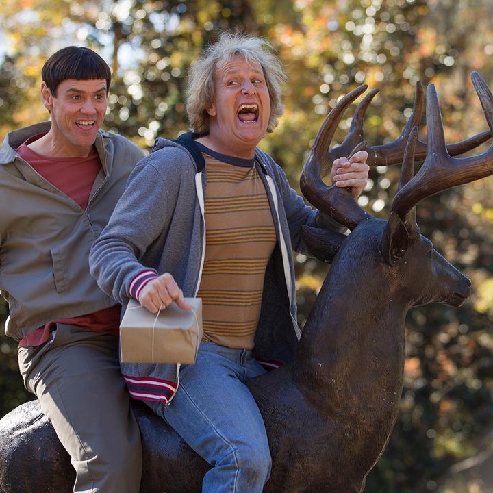 Dumb and Dumber To interview