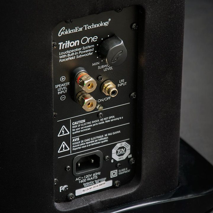 Golden Ear Triton speaker review speaker inputs