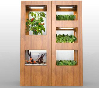 Grove Indoor Garden Fish