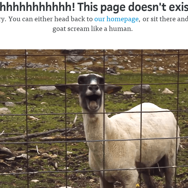 Bluegg 404 page