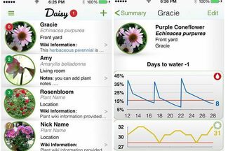 Daisy Sensor App