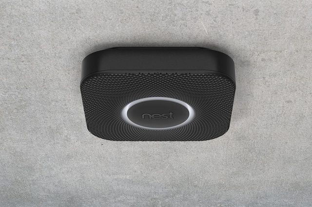 Nest-rumor-roundup-protect-black-pathlight