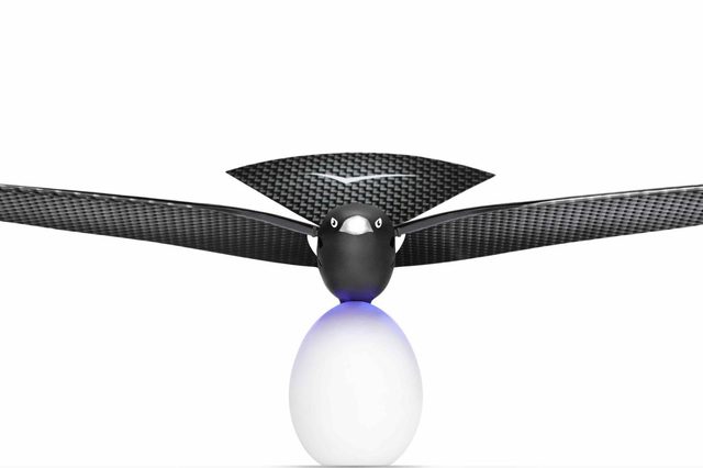 Bionic Bird