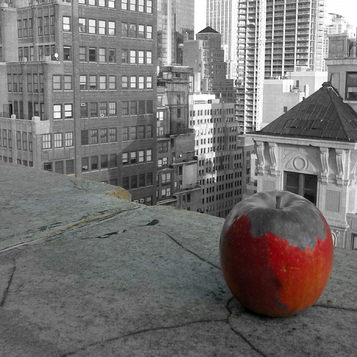 dell venue 8 7000 review camera image 4