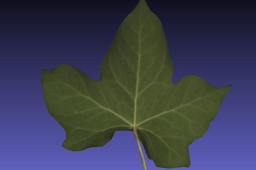 fuel3d scanify scanner fuel 3d leaf lrg