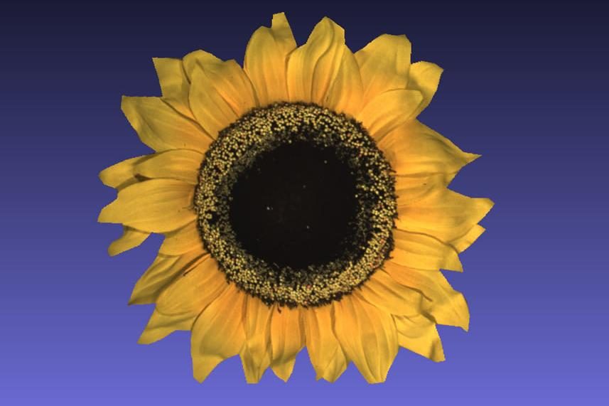 fuel3d scanify scanner fuel 3d sunflower lrg