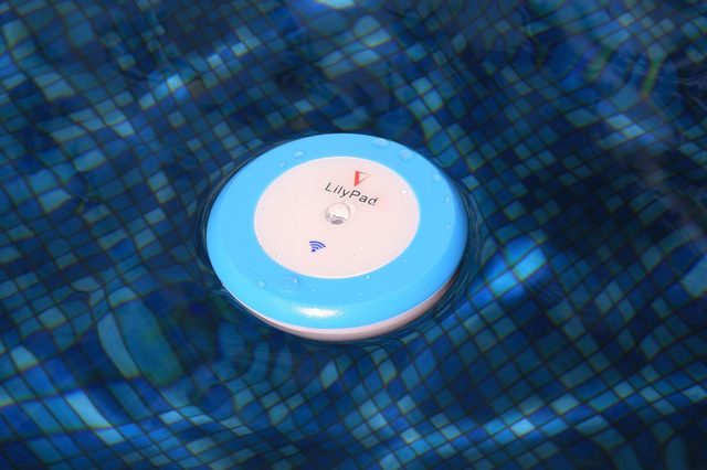 Vigilant Lilypad