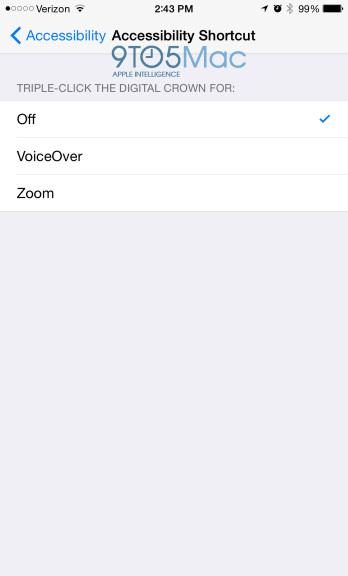 apple watch companion app news voice over