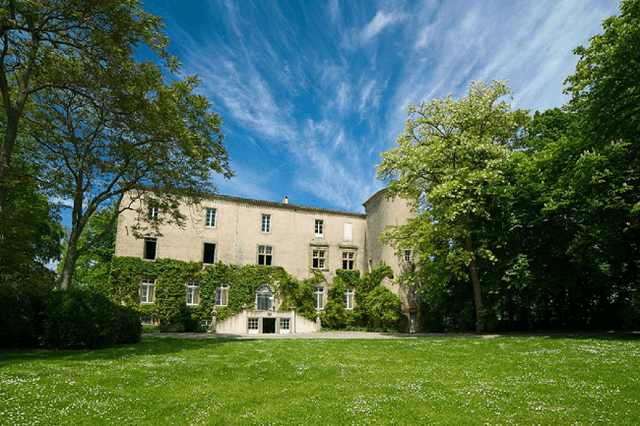 Majestuous Cathar Chateau