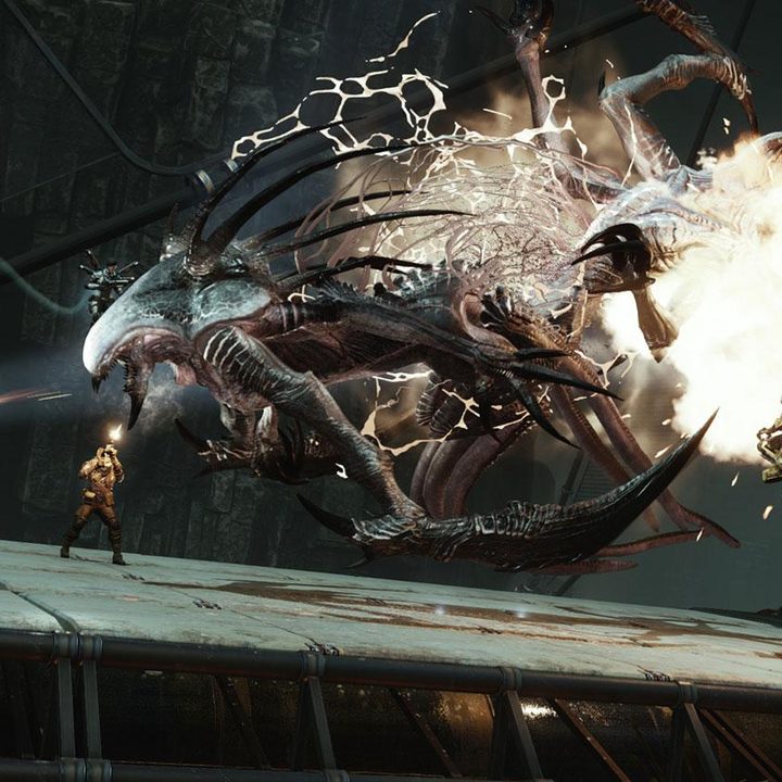 evolve review 2k wraith decoy 1