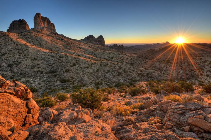 Micro Guide: Joshua Tree National Park
