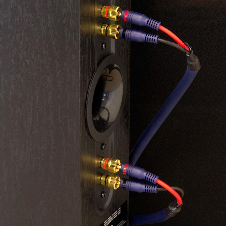 Pioneer Elite Speakers