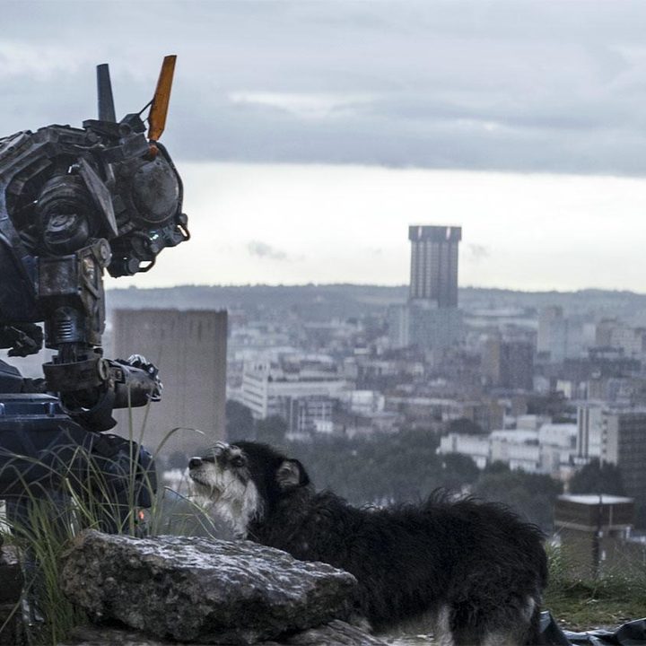 chappie review 16
