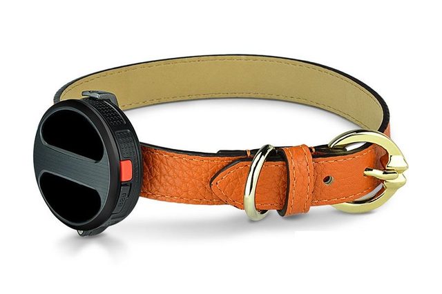 Haier smart dog collar