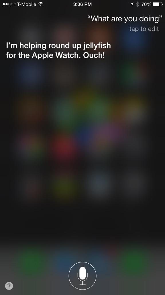 siri apple watch and aluminum comments img 3717