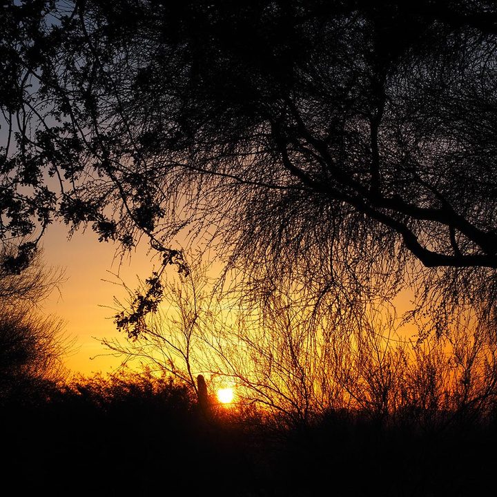 Olympus OM-D E-M5 Mark II