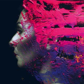 The Audiophile Steven Wilson