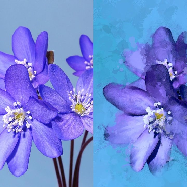 enlight powerful photoshop app painting before after