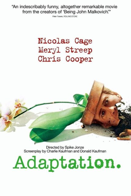 Adaptation