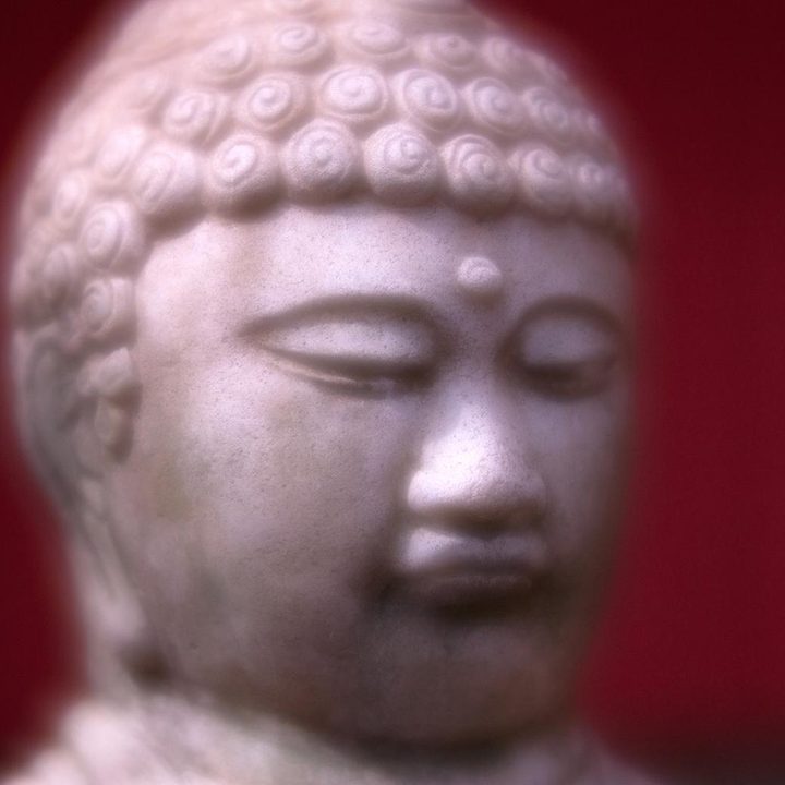 Lensbaby Velvet 56 lens sample