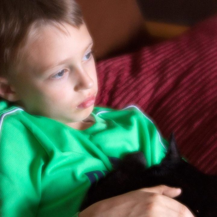 Lensbaby Velvet 56 lens sample