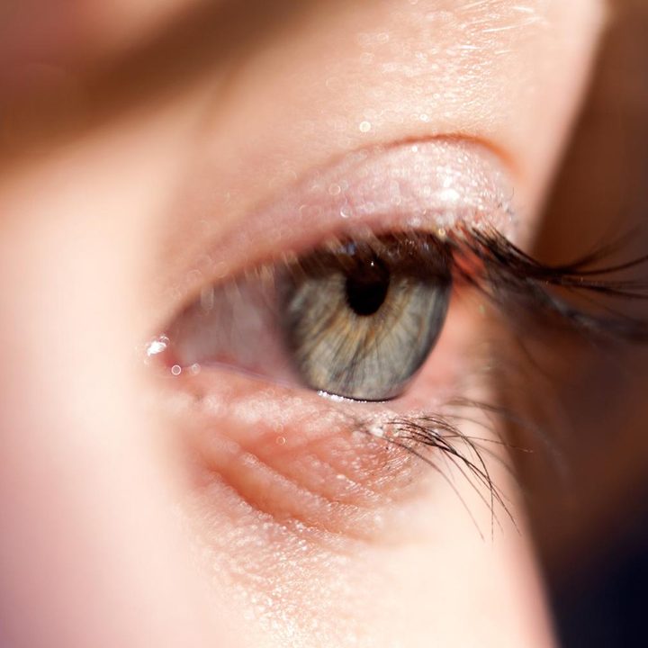 Lensbaby Velvet 56 lens sample