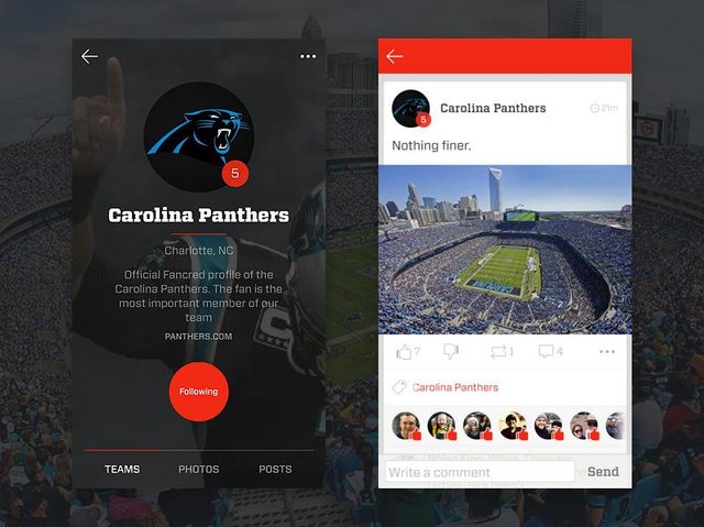 Panthers2