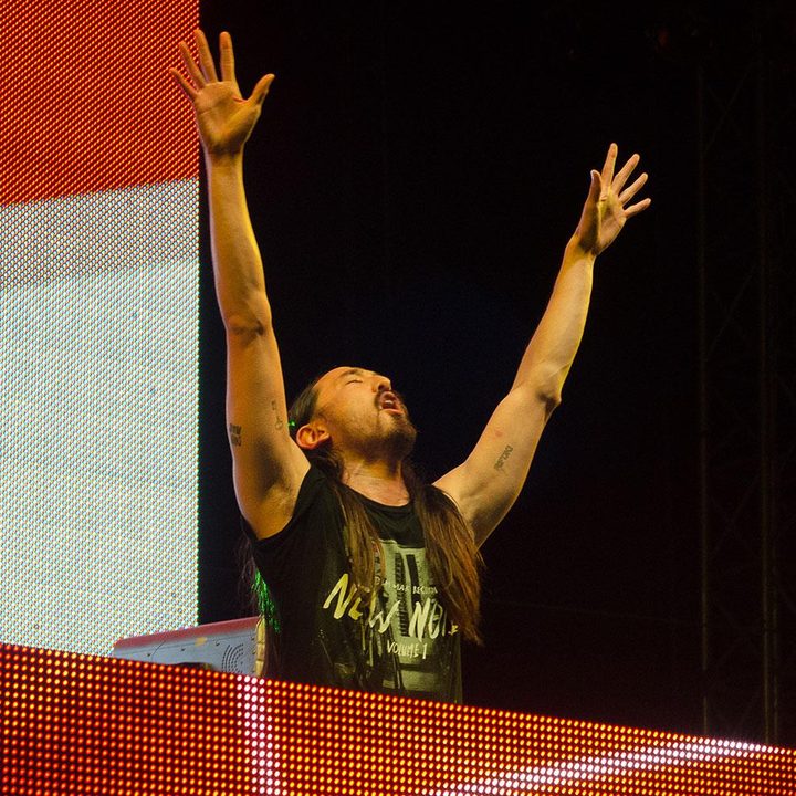 The Audiophile Steve Aoki