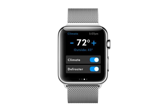 Volkswagen Car-Net Apple Watch