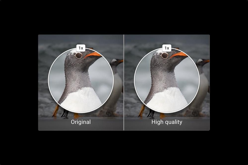 google photos app news image quality 2