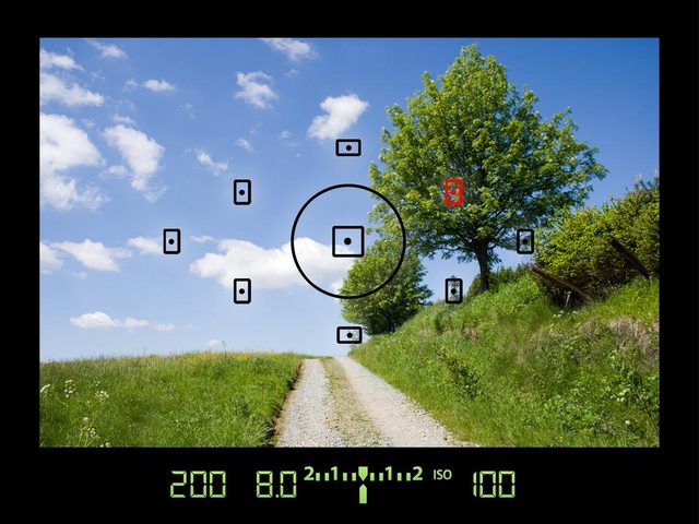 Autofocus points on an SLR