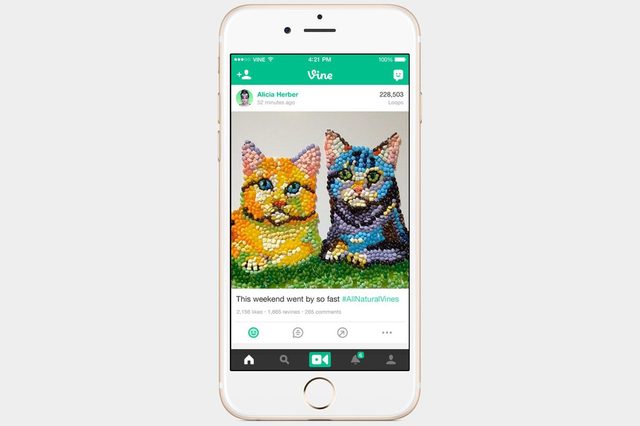 Best iOS apps for June Vine