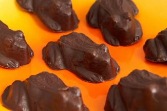 Chocolate Frog Mold