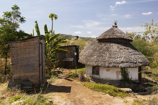 Cob House