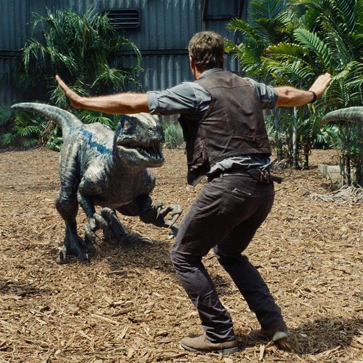 jurassic world interview chris pratt bryce dallas howard colin trevorrow screenshots raptor training