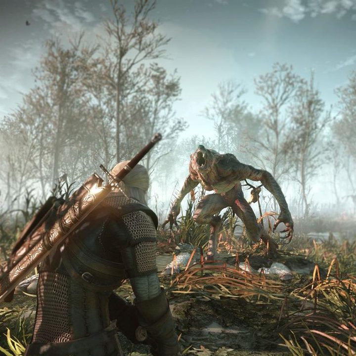The Witcher 3-Wild Hunt