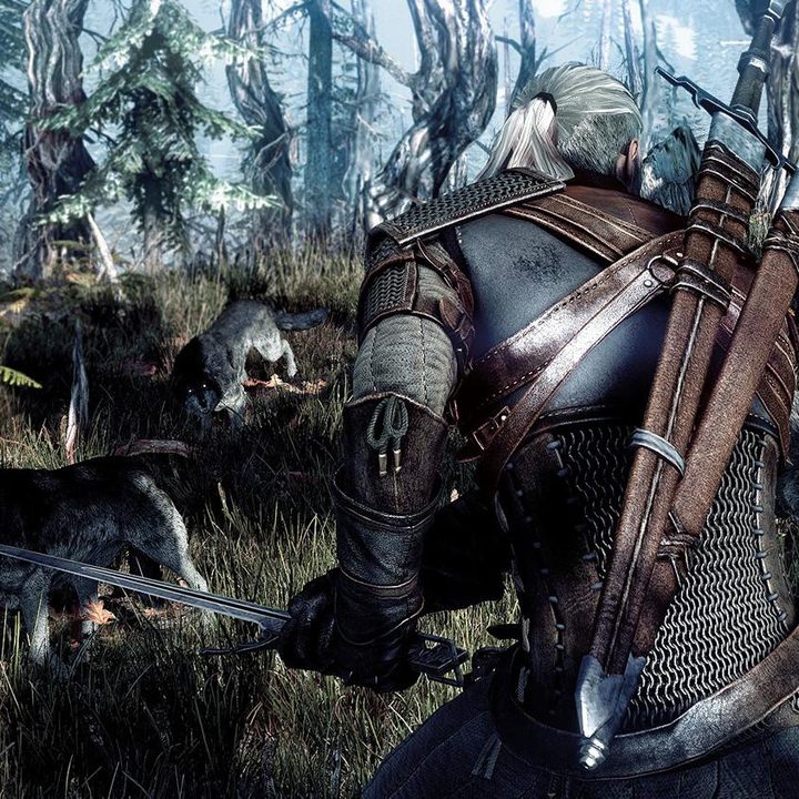 The Witcher 3-Wild Hunt