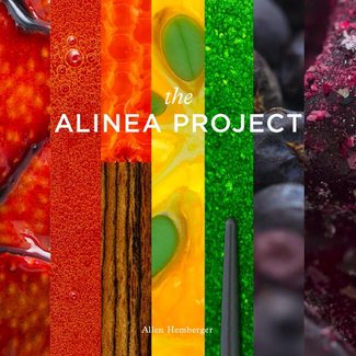 alinea-project-cover