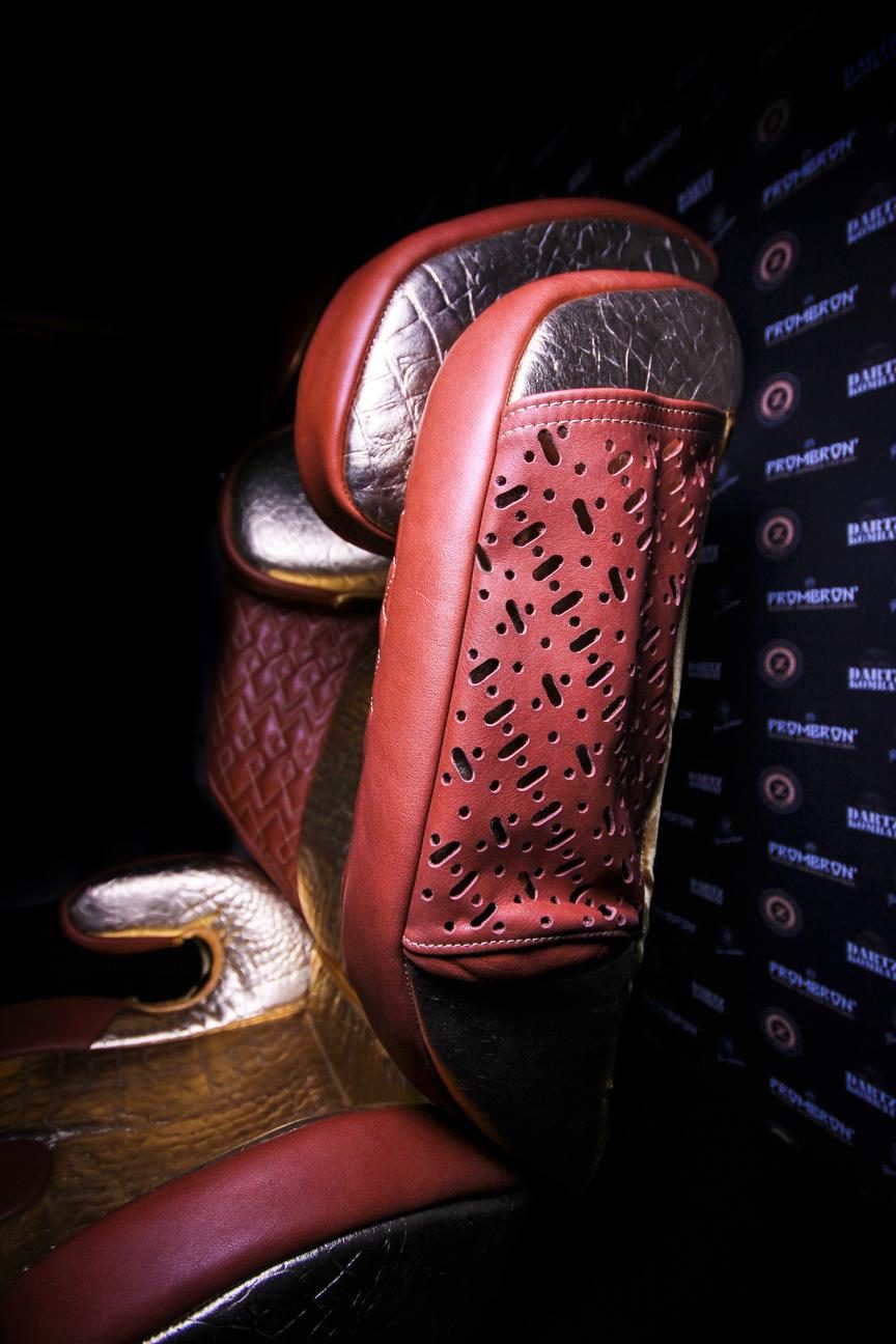 Dartz bulletproof car seat