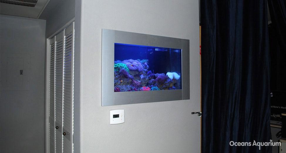 homes with their own shark tanks ag9