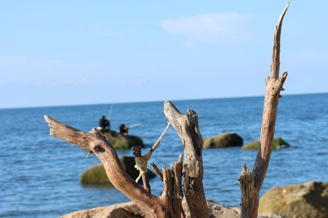 Canon EOS Rebel T6i sample 4