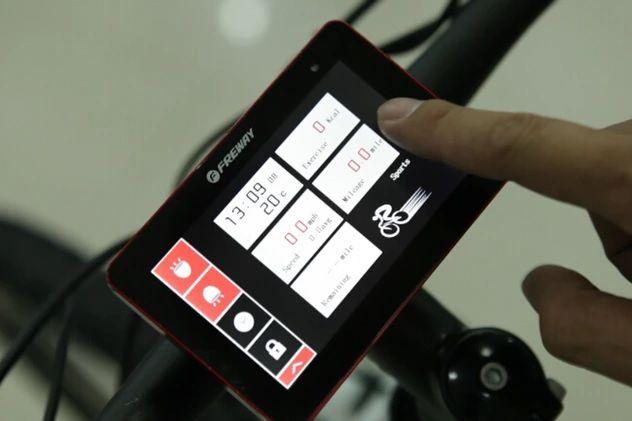 Freway ebike