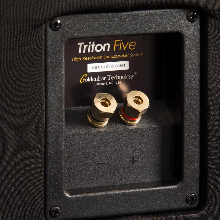 GoldenEar Triton Five