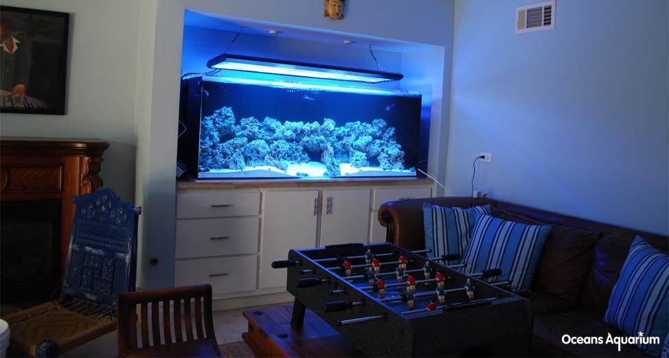 homes with their own shark tanks bb1