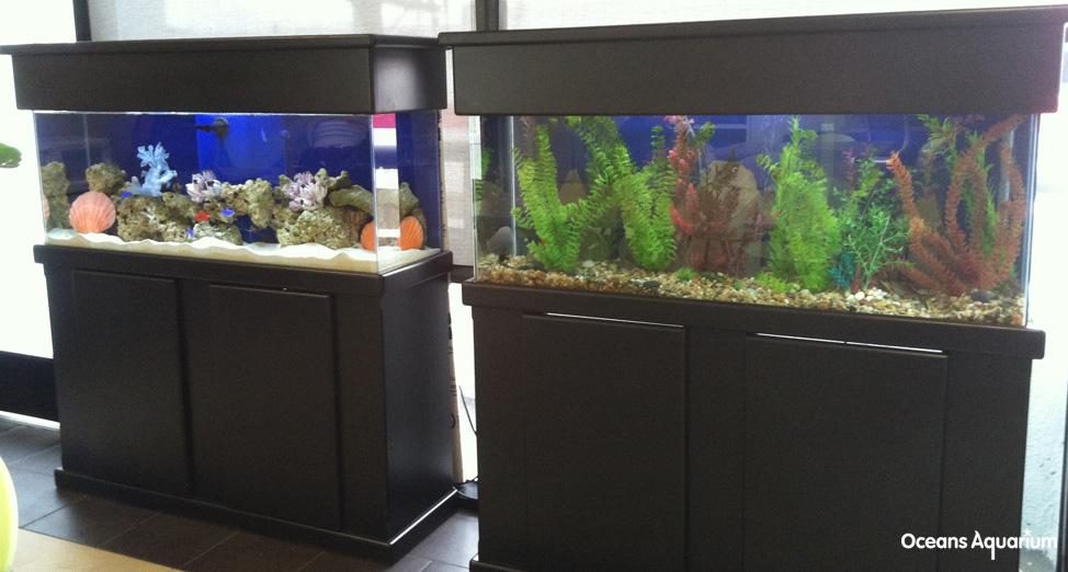 homes with their own shark tanks bg6
